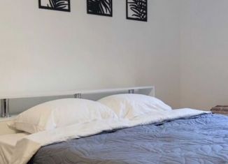 Сдается 1-комнатная квартира, 39 м2, Санкт-Петербург, Школьная улица, 114к2, муниципальный округ № 65