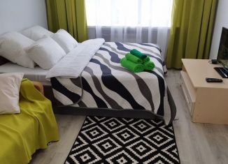 Трехкомнатная квартира в аренду, 58 м2, Коми, проезд Строителей, 29