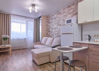 Сдача в аренду квартиры студии, 30 м2, Томск, Большая Подгорная улица, 87блок6, ЖК Большая Подгорная
