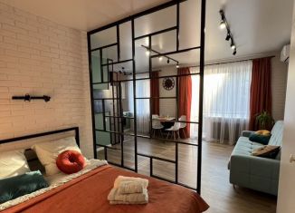 Сдается в аренду квартира студия, 34 м2, Саратов, улица имени В.И. Чапаева