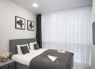 Сдача в аренду 1-ком. квартиры, 26 м2, Сочи, Навагинская улица, 11Б, микрорайон Центральный