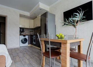 Сдается в аренду 1-комнатная квартира, 46 м2, Сочи, Дагомысский переулок, 18к1, микрорайон Ареда