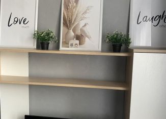 Сдам в аренду 1-комнатную квартиру, 37 м2, Тверь, Октябрьский проспект, 99