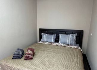 Аренда 1-комнатной квартиры, 45 м2, Бурятия, улица Рылеева