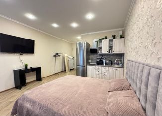 Аренда квартиры студии, 31 м2, Сочи, Депутатская улица, 10, микрорайон Светлана