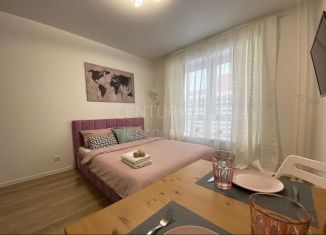 Продается квартира студия, 20 м2, Люберцы, улица Лётчика Ларюшина, 16, ЖК Жулебино Парк