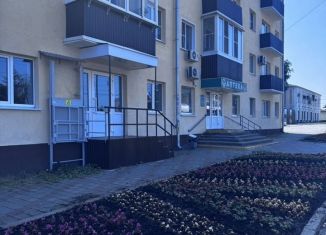 Аренда помещения свободного назначения, 56 м2, Тамбовская область, Привокзальная площадь, 12А