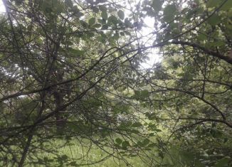 Продаю дачу, 10 м2, Чебоксары, садоводческое некоммерческое товарищество ЧЭАЗ-1, 39