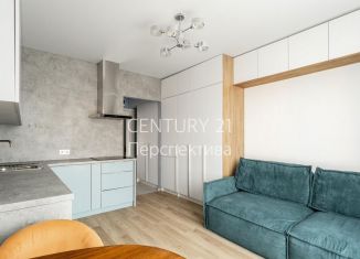 Продается квартира студия, 20 м2, Люберцы, улица Лётчика Ларюшина, 4к2, ЖК Жулебино Парк