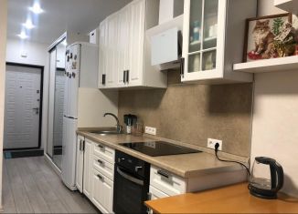 Квартира в аренду студия, 24.5 м2, Королёв, Бурковский проезд, 40к1, ЖК Театральный Парк