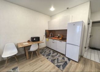 Сдается квартира студия, 27 м2, Республика Башкортостан, Ярмарочная улица, 15