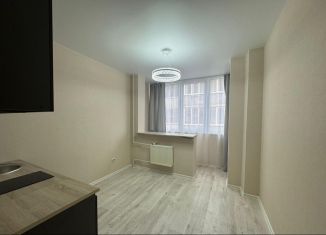 Продажа квартиры студии, 16.4 м2, Горячий Ключ, улица Ярославского, 132Р