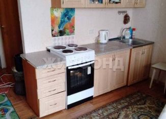 Продажа квартиры студии, 28 м2, Новосибирск, Воскресная улица, 37/1