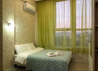 Сдается квартира студия, 30 м2, Сочи, Санаторная улица, 46, микрорайон Новый Сочи