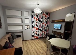 Аренда квартиры студии, 28 м2, Пушкин, Камероновская улица, 7к1