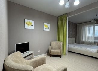 2-комнатная квартира в аренду, 80 м2, Тольятти, Цветной бульвар, 7