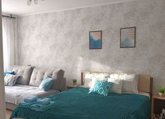 Сдается в аренду 1-комнатная квартира, 30 м2, Саратов, улица имени С.Т. Разина, 75А