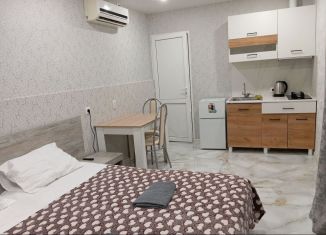 Квартира в аренду студия, 24 м2, Сочи, Изумрудная улица, 26, микрорайон Голубые Дали