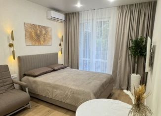 Сдам в аренду квартиру студию, 23 м2, Сочи, улица Искры, 88к8, микрорайон Кудепста