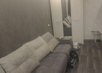 Сдается 1-комнатная квартира, 32 м2, Татарстан, Пролетарская улица, 32