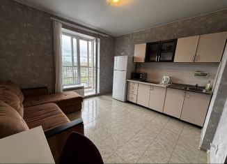 Сдача в аренду однокомнатной квартиры, 41 м2, Санкт-Петербург, Полевая Сабировская улица, 45к1