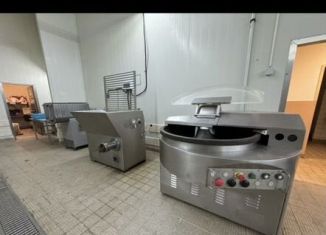 Сдаю в аренду производство, 1000 м2, Тамбовская область, Советская улица, 10