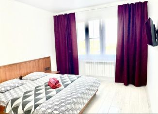 Сдам в аренду 1-ком. квартиру, 43 м2, Троицк, Городская улица, 12