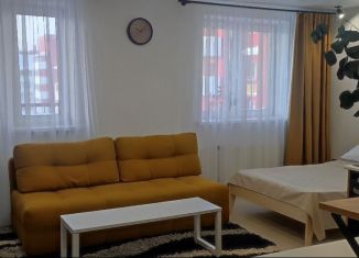 Сдаю квартиру студию, 30.6 м2, Тюмень, улица Пермякова