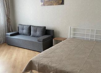 Сдача в аренду однокомнатной квартиры, 44 м2, Йошкар-Ола, улица Петрова, 11А, микрорайон Центральный