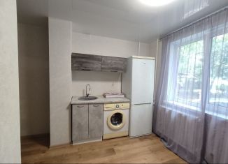 Продам квартиру студию, 11.8 м2, Екатеринбург, Палисадная улица, 8А, Чкаловский район