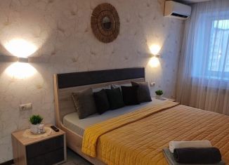 Сдается 1-комнатная квартира, 44 м2, Амурская область, улица Василенко, 3/4