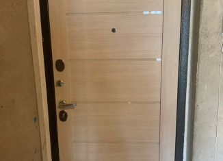 Продам 1-комнатную квартиру, 37.5 м2, Санкт-Петербург, метро Выборгская, Лабораторный проспект, 23