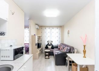 Продажа 1-комнатной квартиры, 26.3 м2, Тюмень, Ставропольская улица, 160, ЖК Тесла Парк