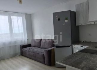 Продается квартира студия, 24.4 м2, Екатеринбург, улица Чемпионов, 1, Чкаловский район