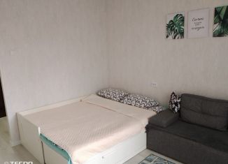 Аренда 1-комнатной квартиры, 30 м2, Карелия, улица Ленина, 3