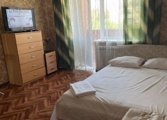 Сдам 1-комнатную квартиру, 50 м2, Новомосковск, улица Генерала Белова, 22