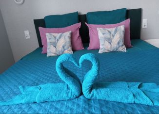 Сдам в аренду 1-комнатную квартиру, 22 м2, Сочи, Красная улица, 34А, микрорайон Центральный