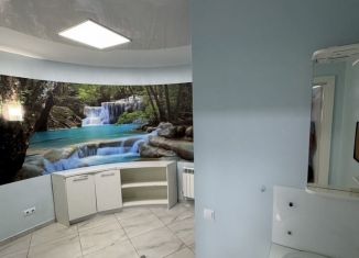 Сдача в аренду помещения свободного назначения, 10.6 м2, Псков, Советская набережная, 6