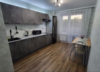 Сдача в аренду 1-комнатной квартиры, 40 м2, Псков, улица Ижорского Батальона, 17