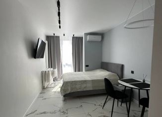 Сдаю квартиру студию, 24 м2, Сочи, Ясногорская улица, 16/8к2, микрорайон Бытха