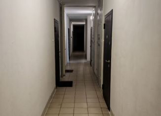 Продается квартира студия, 21.6 м2, Новосибирск, метро Площадь Маркса, улица Виктора Уса