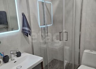 Продам квартиру студию, 25.2 м2, Новосибирск, улица Титова, 253/5