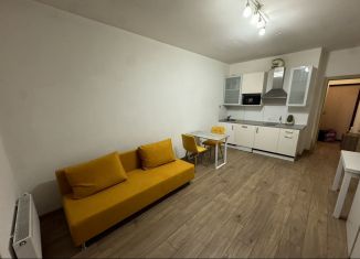 Квартира в аренду студия, 26 м2, Мурино, Воронцовский бульвар, 2