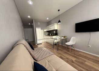 Продажа однокомнатной квартиры, 44.6 м2, село Небуг, улица Газовиков, 3А/2