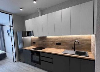 Продаю квартиру студию, 25.2 м2, Сочи, Виноградная улица, 219с1, микрорайон Мамайка