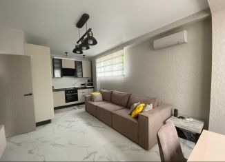 Продам 1-ком. квартиру, 42 м2, Сочи, улица Свободы, 50, микрорайон Вишневка