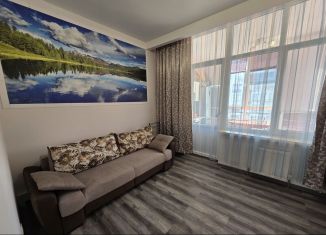 Сдается 2-ком. квартира, 60 м2, Сириус, Старообрядческая улица, 62