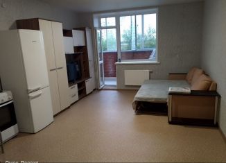 Сдача в аренду квартиры студии, 36.6 м2, Омск, улица Завертяева, 18/8