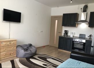 Продается квартира студия, 28 м2, Екатеринбург, Дорожная улица, 18, Чкаловский район