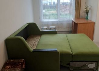 Сдаю квартиру студию, 24.8 м2, посёлок Шушары, Колпинское шоссе, 127